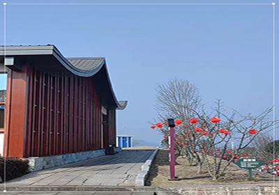 年味 |“今朝燈花喜，來年椒滿枝”